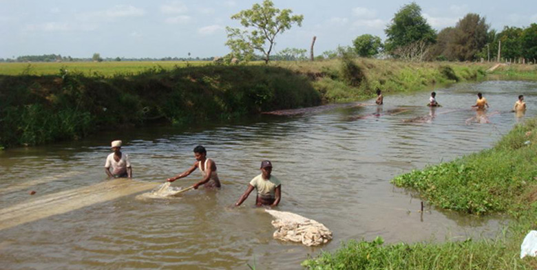 Kalamkari fabric washed in the river